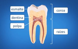 tratamento-de-canal-blog-2-640x400